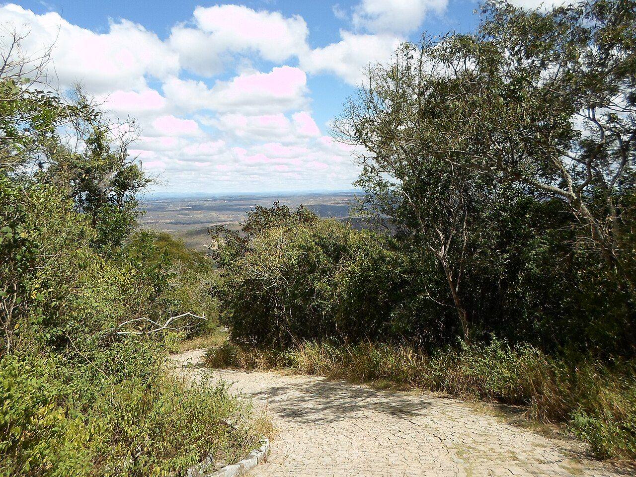 Pico do Jabre — o teto da Paraíba — Maturéia